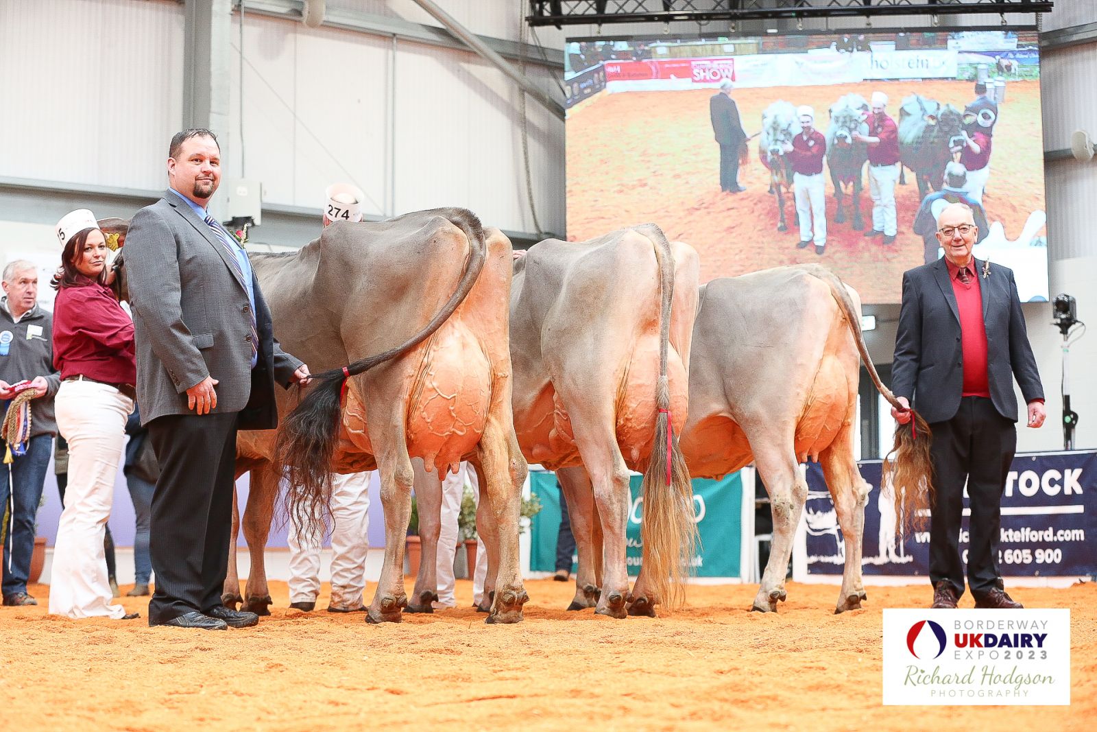 Kedar Brown Swiss unbeatable at the UK Dairy Expo 2023